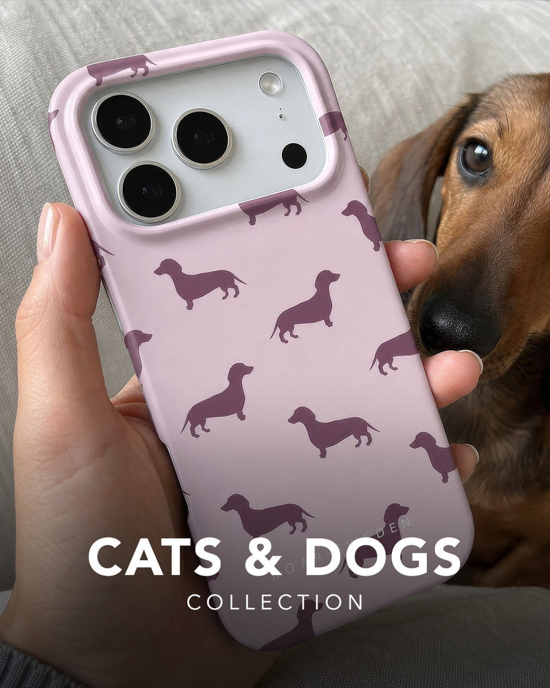 Cats & Dogs - Kollektion